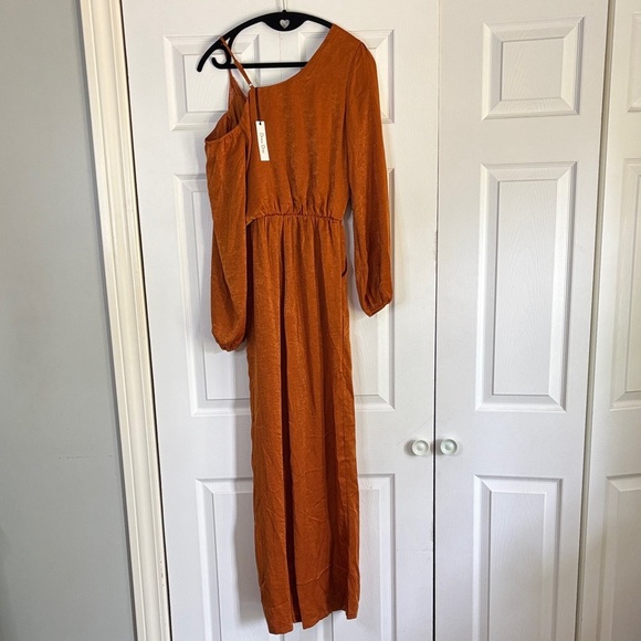 Chic Rust Jumpsuit - Picture 3 of 6